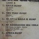 SANTA CECILIA, BAILA EL BUMP LP 12´, ROCK MEXICANO